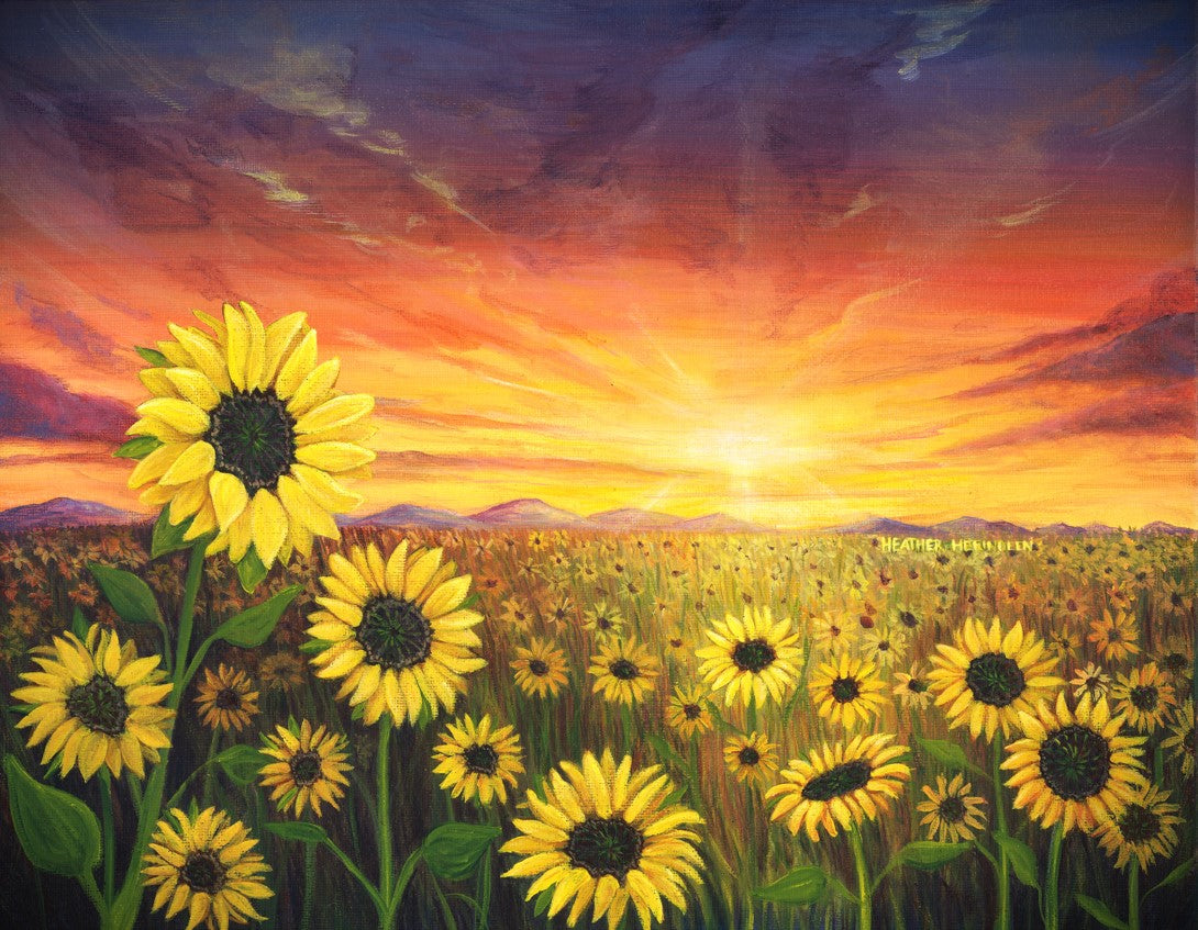 Sunflower Sunset