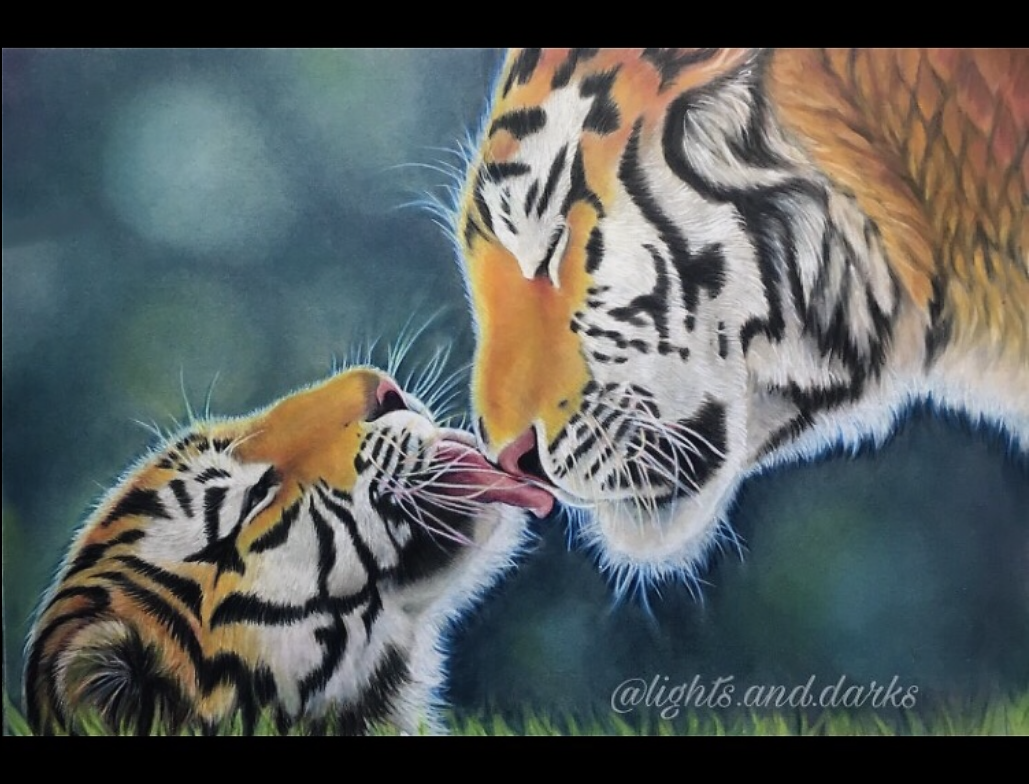 Tender Touch Tigers